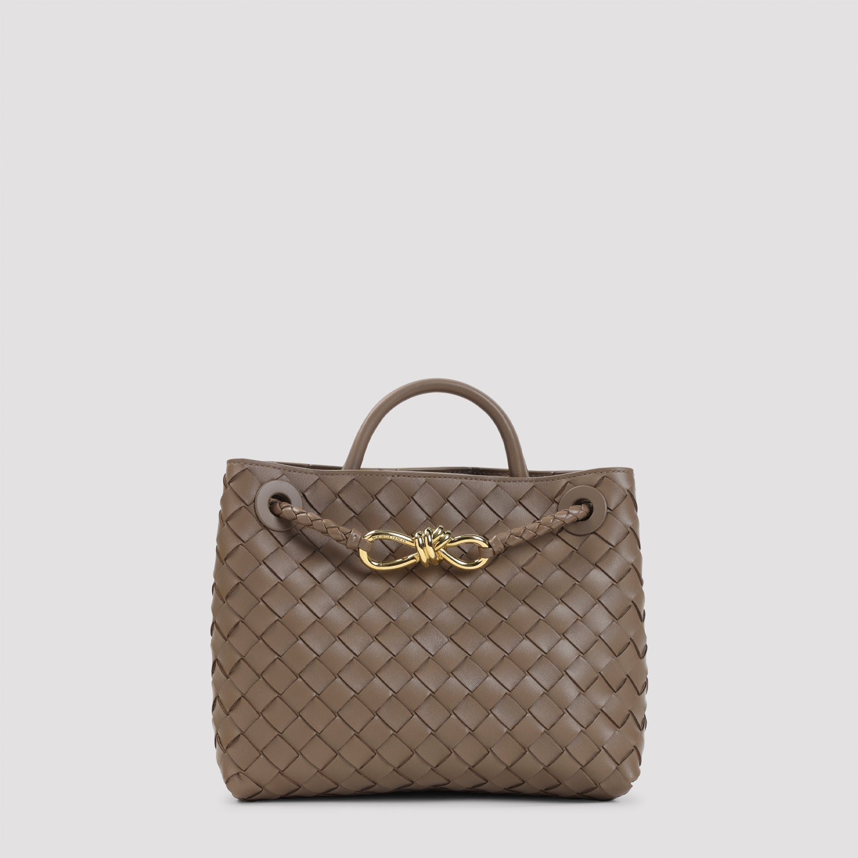 Bottega Veneta Andiamo Small Bag