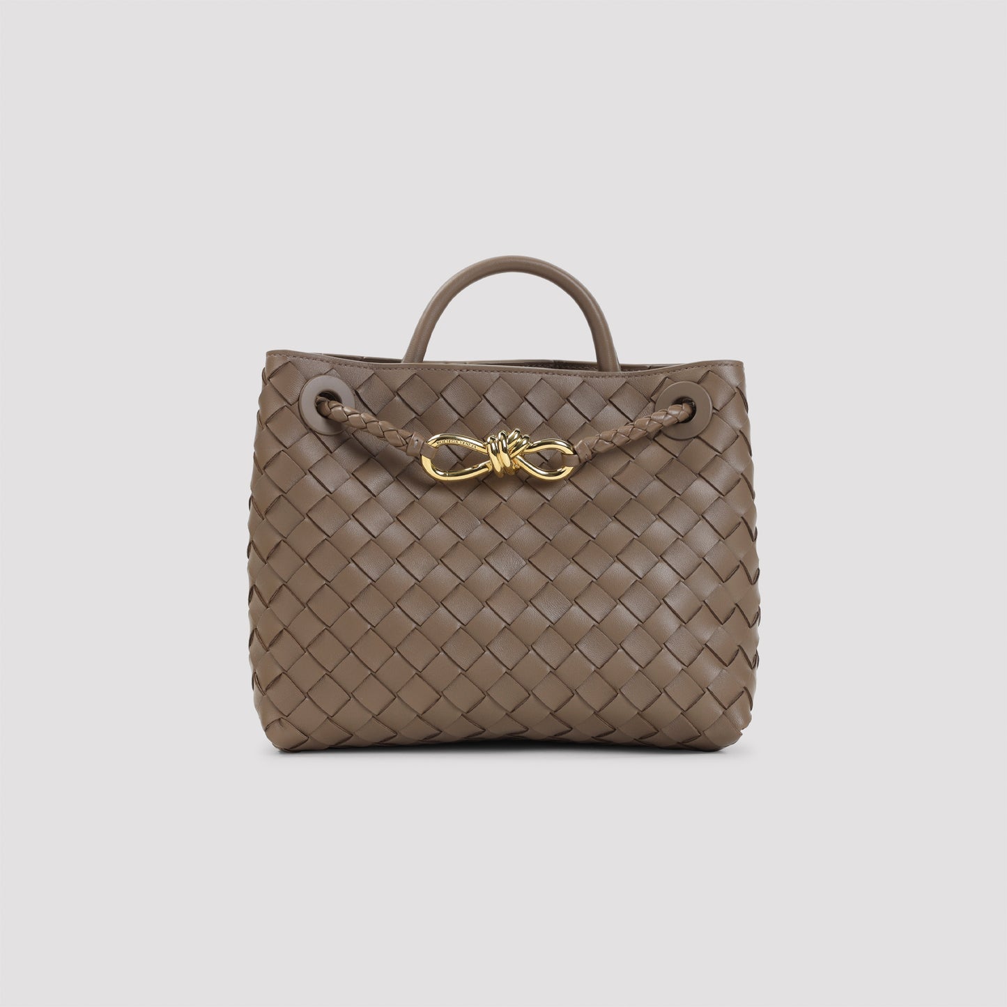 Bottega Veneta Andiamo Small Bag