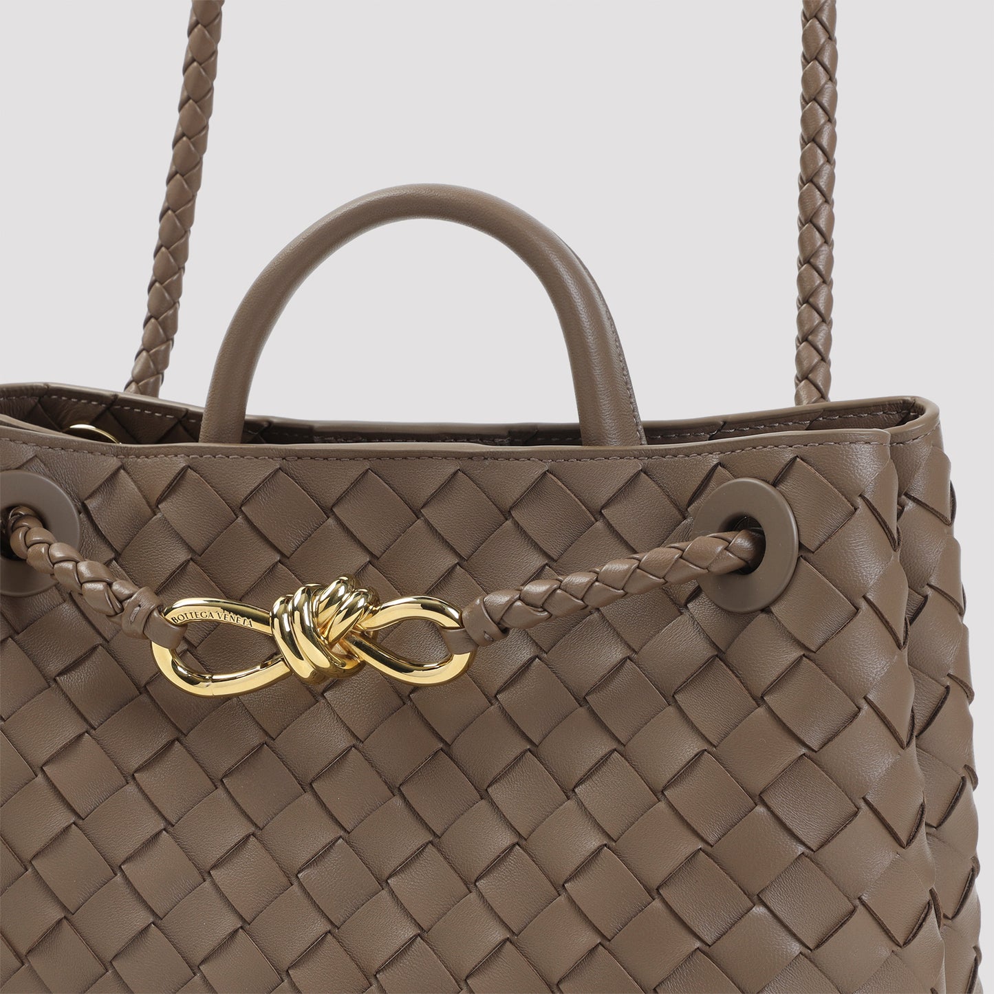 Bottega Veneta Andiamo Small Bag