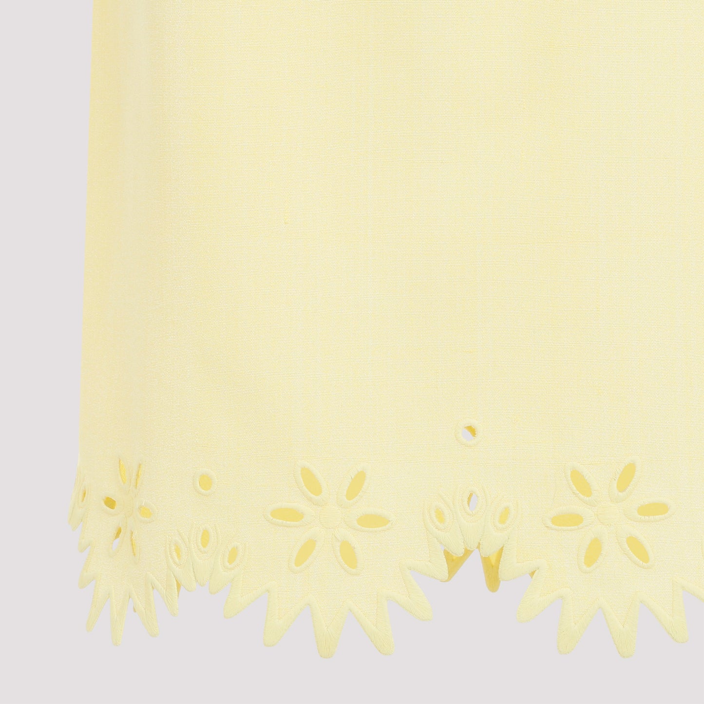 Bottega Veneta Grainy English Embroidery Midi Skirt
