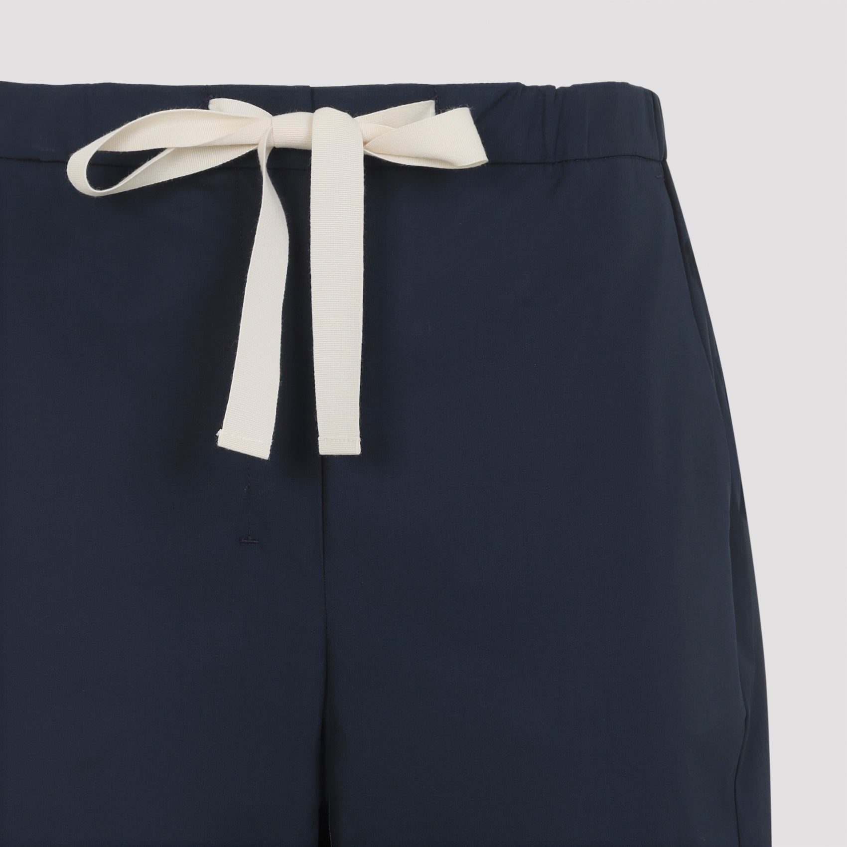 Max Mara`s Argento Pants