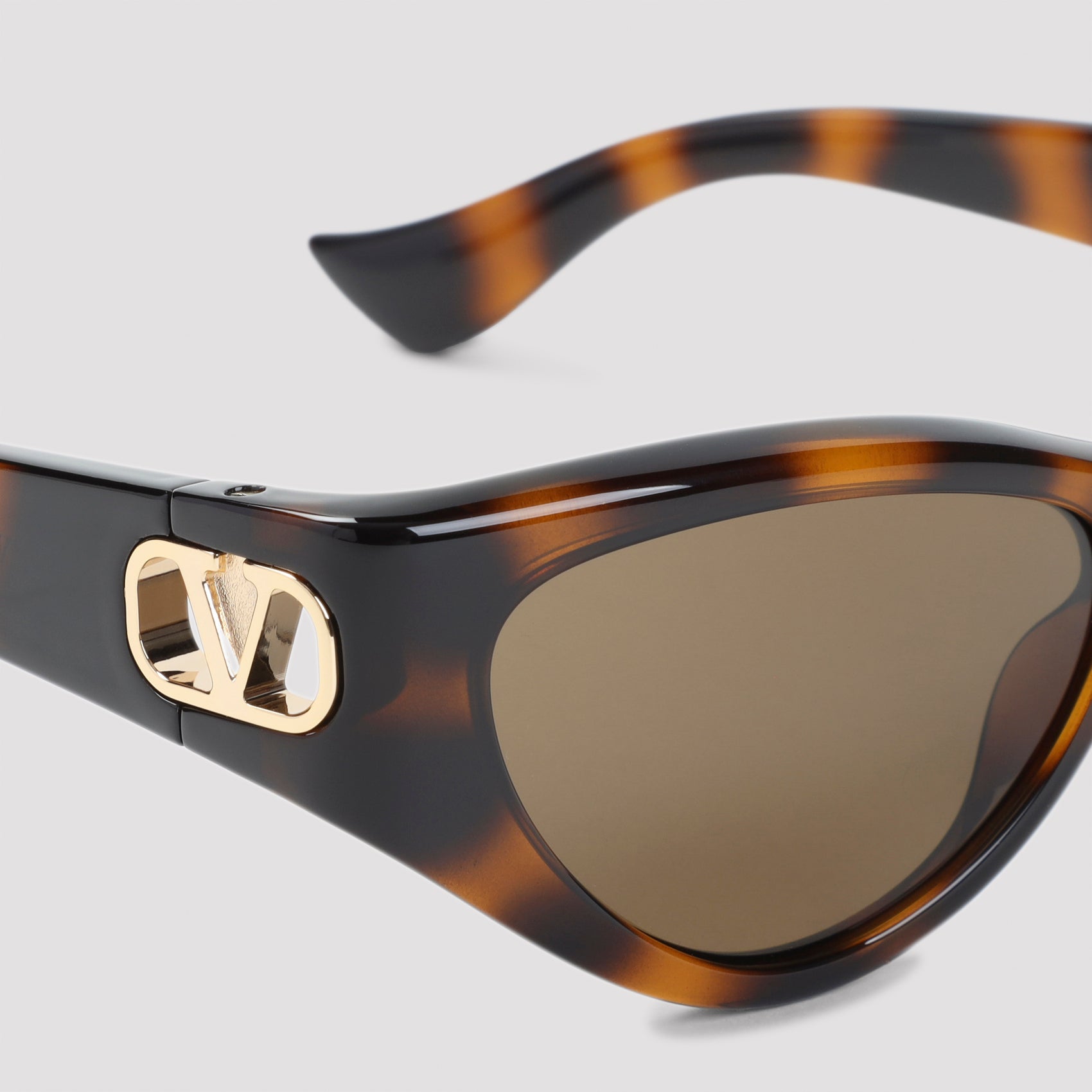 Valentino Acetate Sunglasses