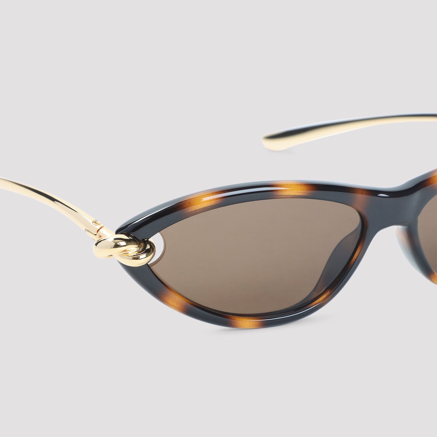 Bottega Veneta Knot Cat Eye Sunglasses