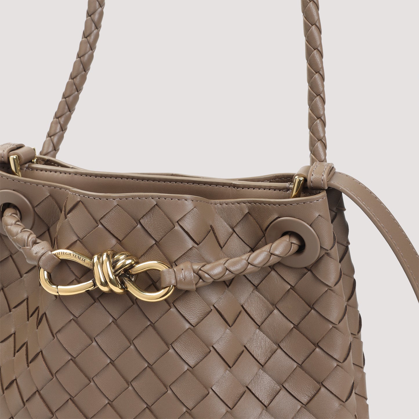 Bottega Veneta Andiamo Bucket Bag