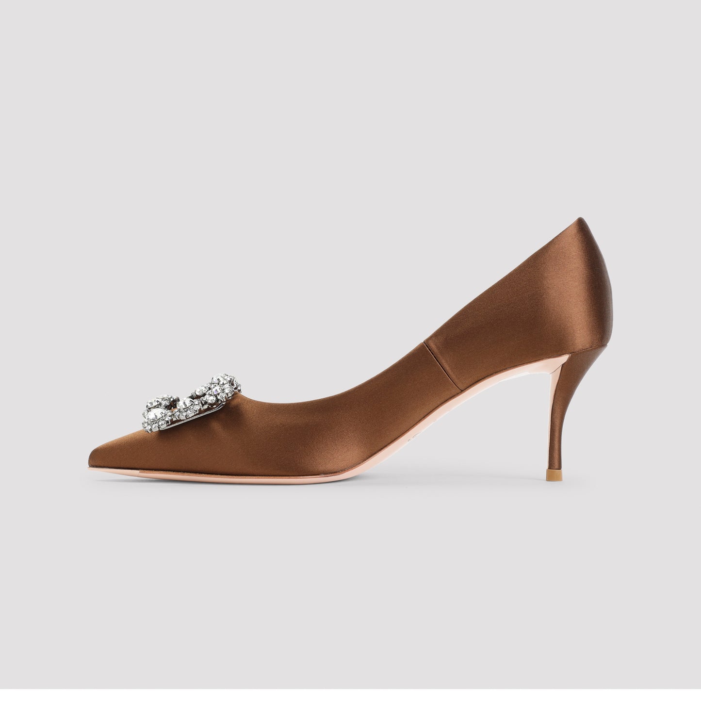 Roger Vivier Flower Strass 65 Pumps