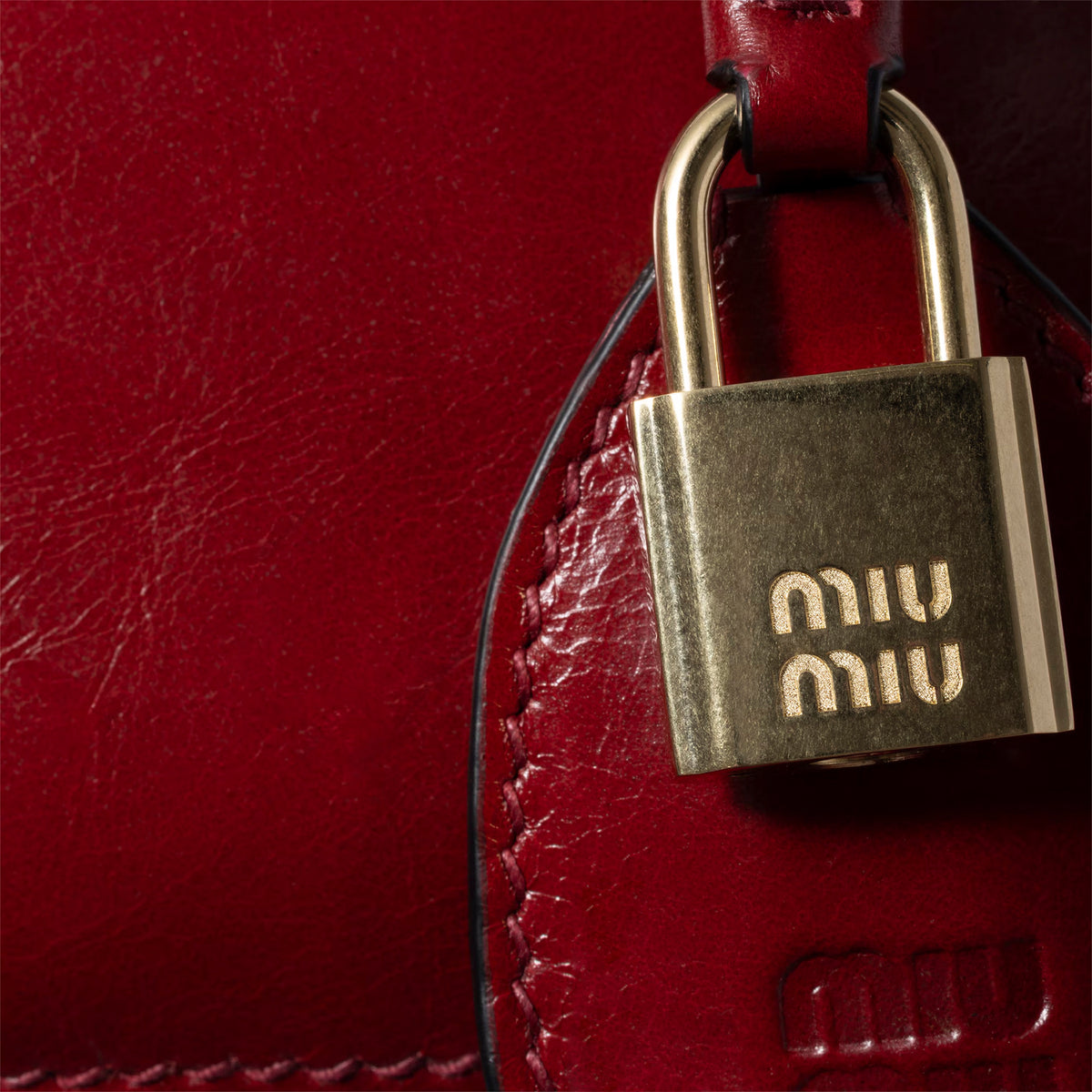 Miu Miu Vivant Leather Mini Bag