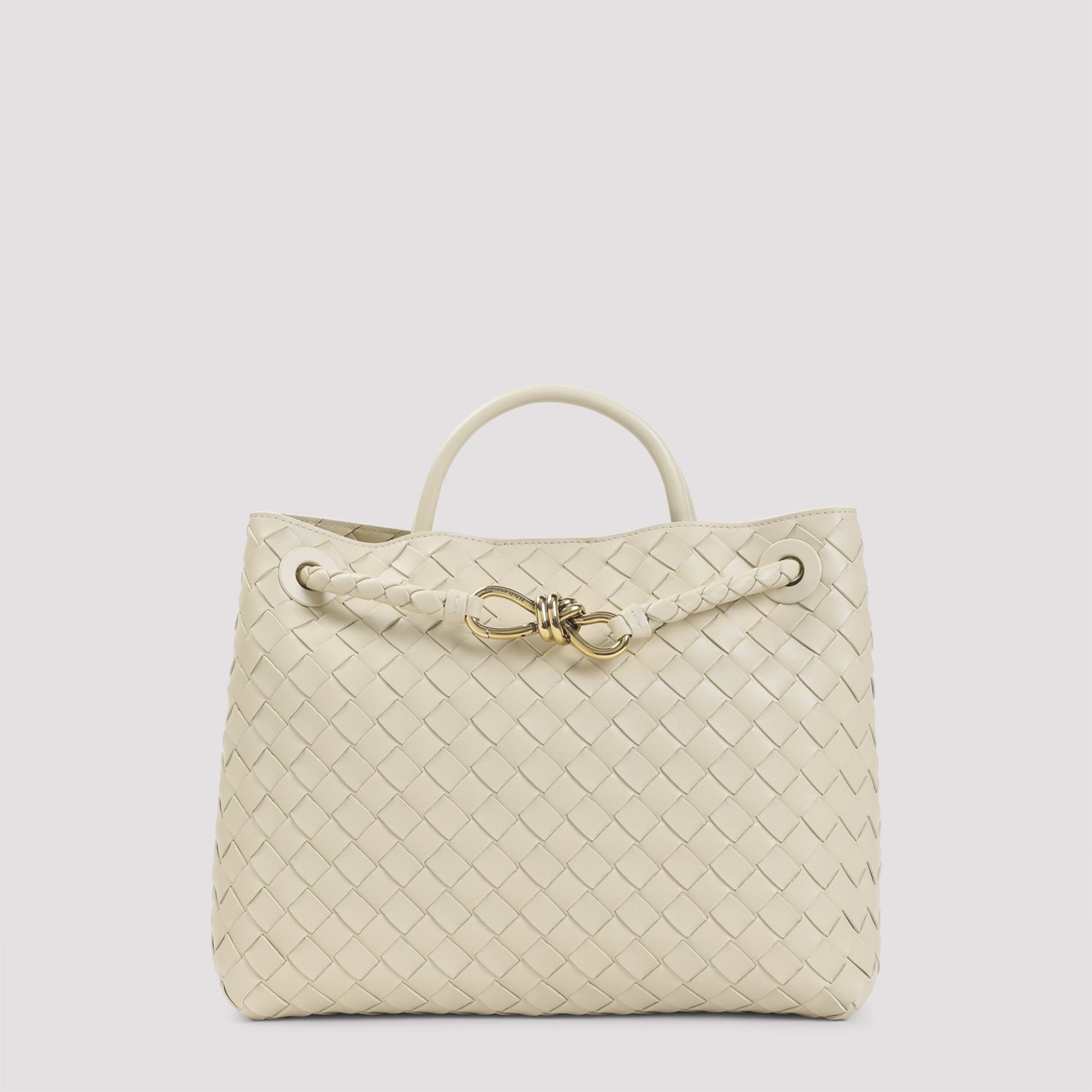 Bottega Veneta Andiamo Medium Bag