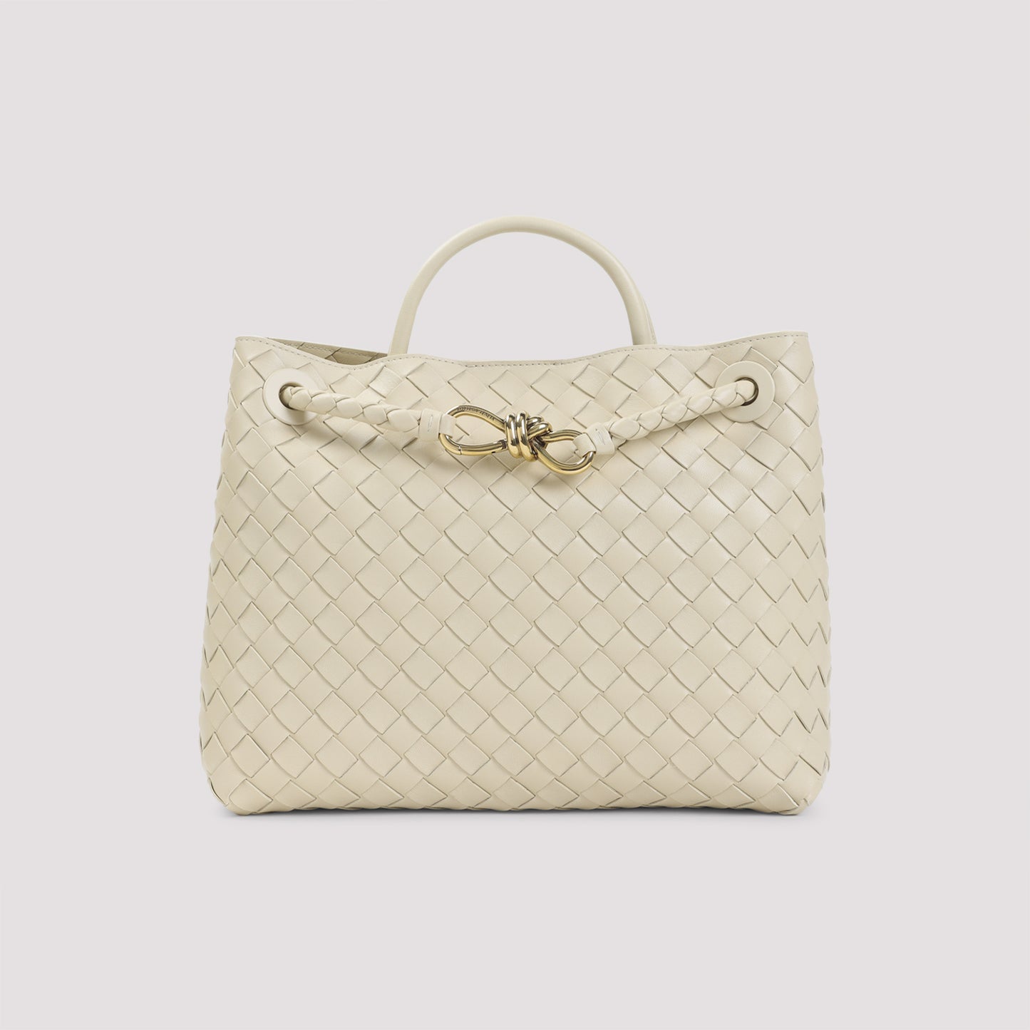 Bottega Veneta Andiamo Medium Bag