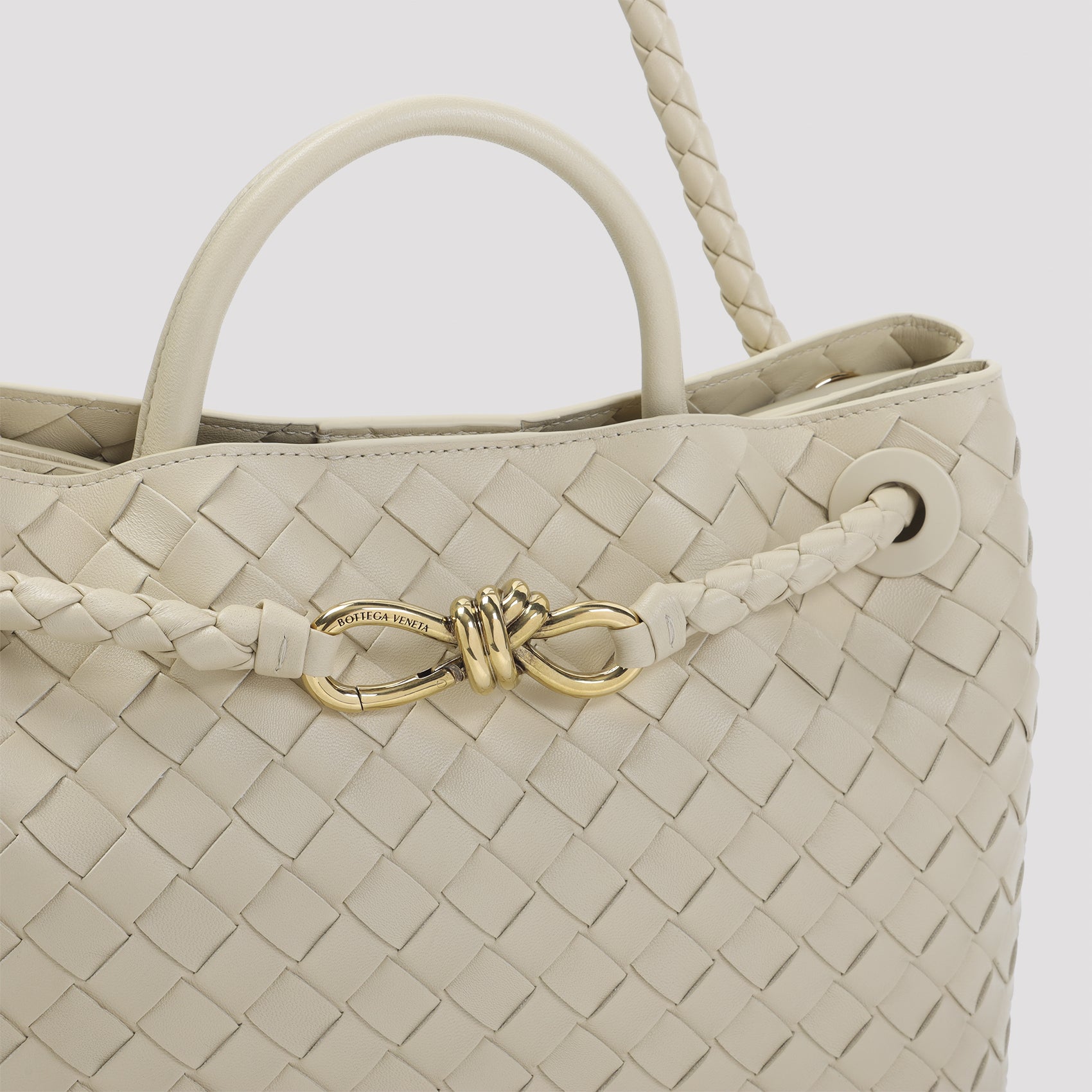 Bottega Veneta Andiamo Medium Bag