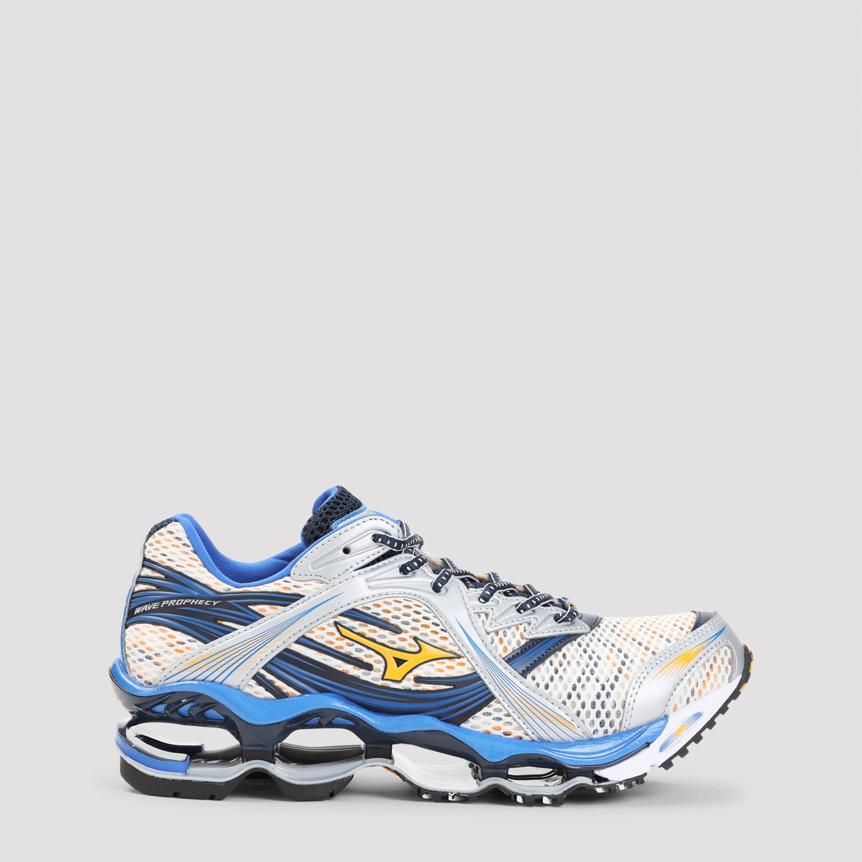 Mizuno Wave Prophecy 1