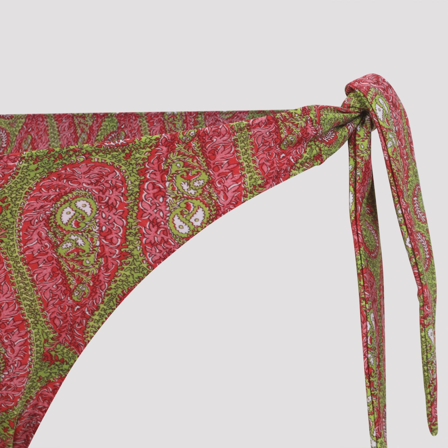 Etro Paisley Foliage Bikini