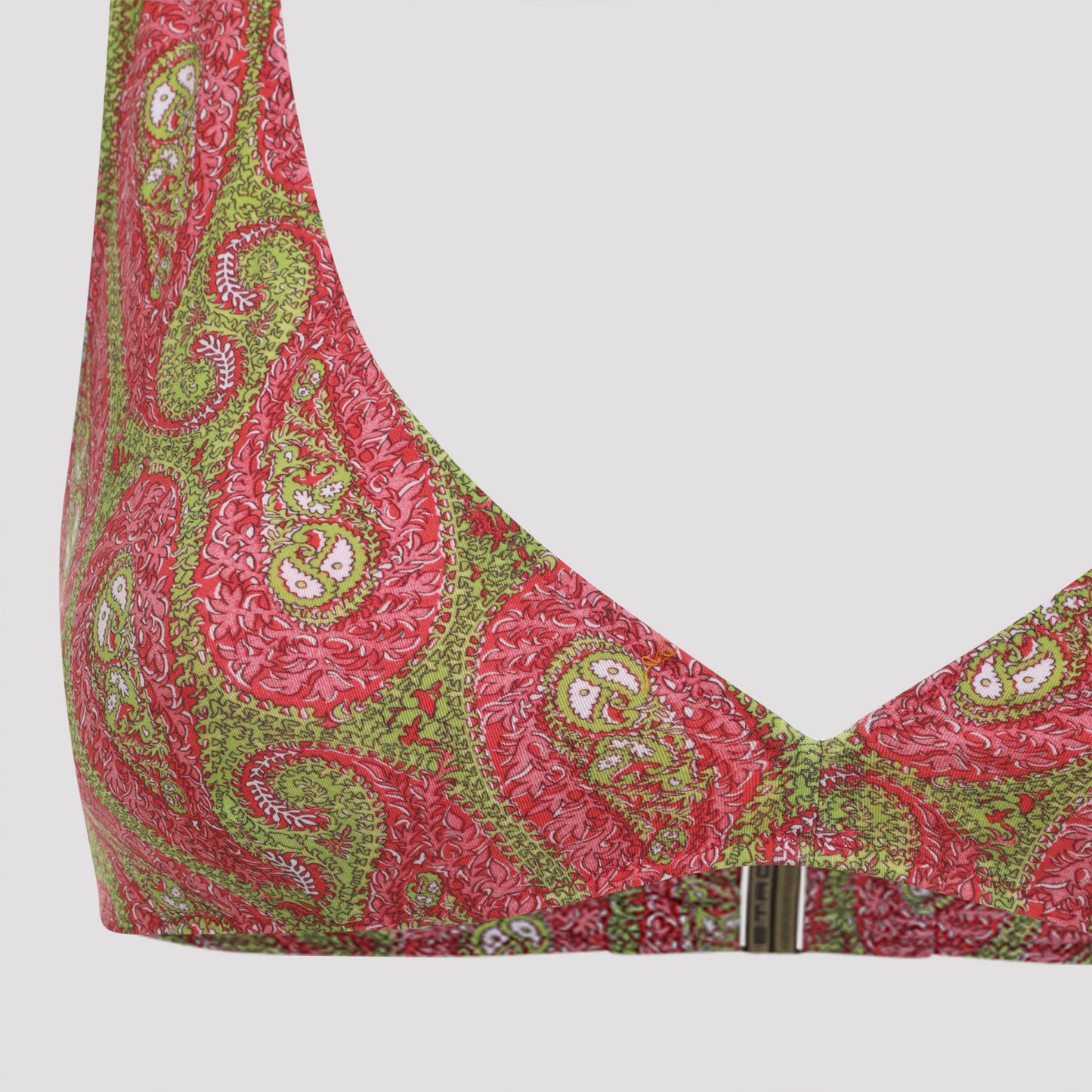 Etro Paisley Foliage Bikini