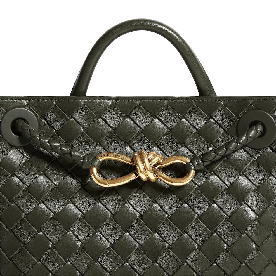 Bottega Veneta Andiamo Small Bag